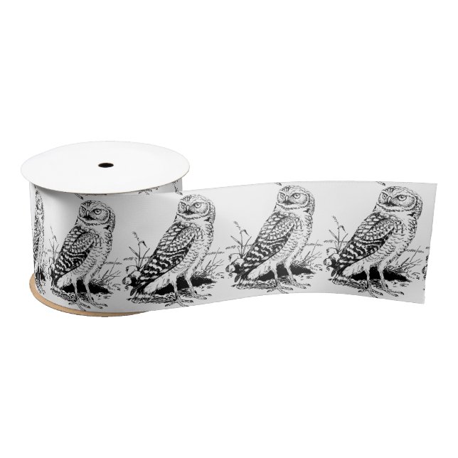 Stall Owl Thunder_Cove Satinband (Spule)