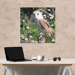 Stall Owl White Face Stretched Canvas Print Leinwanddruck<br><div class="desc">Schönes,  gedehntes Leinenprint einer Barnschale mit weißem Gesicht und brauner und weißer Feder auf einem Gliedmaß! Ein phantastisches Stück Wildtierkunst für jeden Raum!</div>