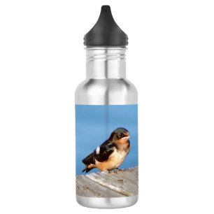 Stall Schlucken Wasserflasche
