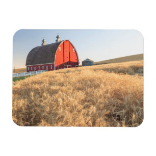 Stall, Sommer Weizenfelder in der Nähe von Sprague Magnet