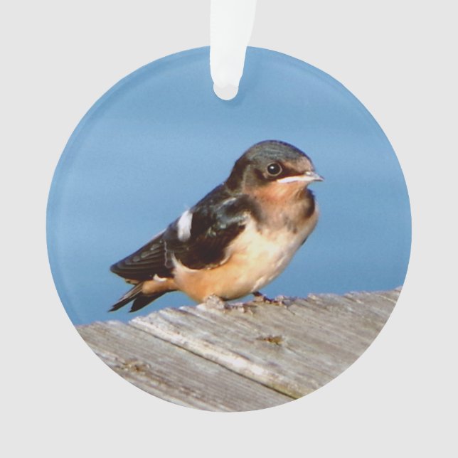Stall Swallow Acrylschmuck Ornament (Vorderseite)