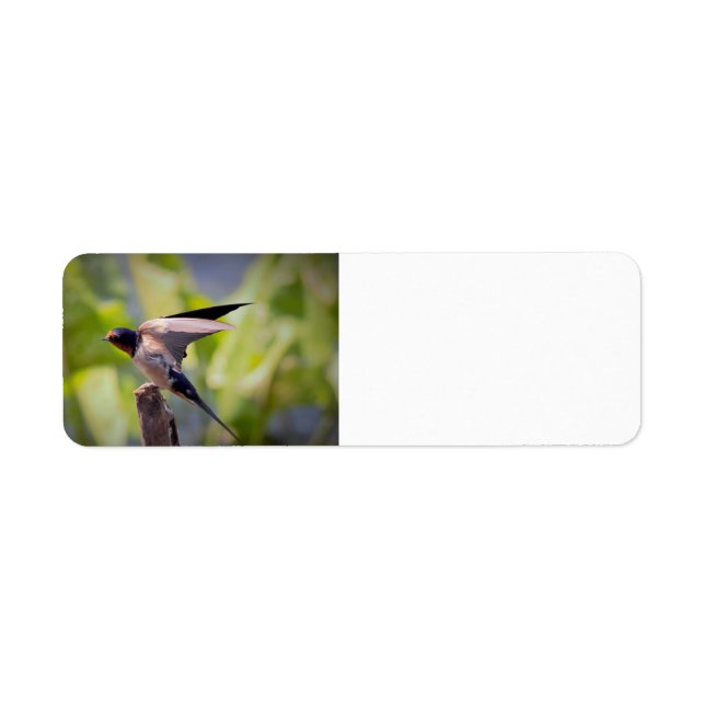 Stall Swallow Address Labels (Vorne)