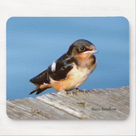Stall Swallow mousepad