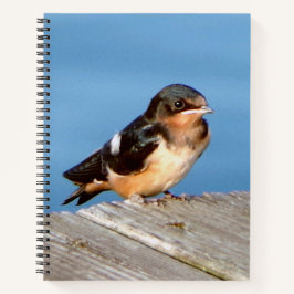 Stall Swallow Notebook Notizbuch
