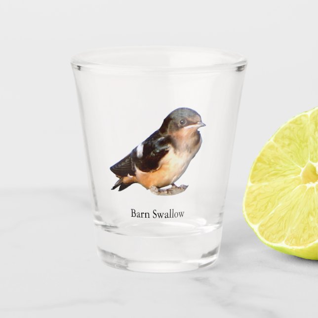 Stall Swallow-Schuss-Glas Schnapsglas (Vorderseite)