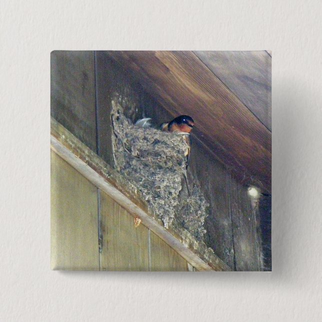 Stall Swallow Serie Button (Vorderseite)