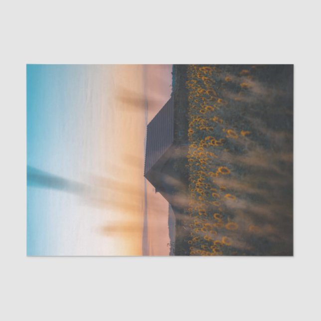 Stall umgeben von einem Sonnenblumenfeld im Sonnen Seidenpapier (Vorderseite)