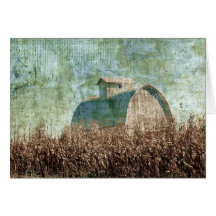 Stall- und Maisfeld in der Nähe der Erntezeit