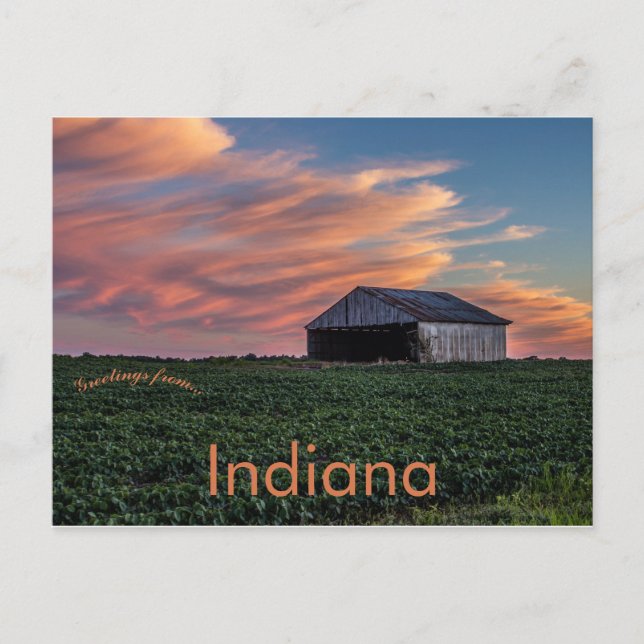 Stall und Sojabohnen in Indiana bei Sunset Postkarte (Vorderseite)
