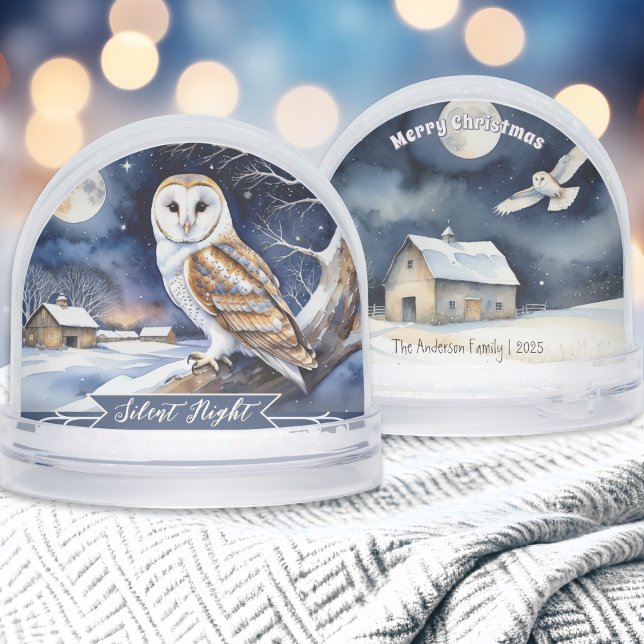 Stallauge Wasserfarbe Schneeglobe in der Nacht Schneekugeln (A Christmas snowglobe with barn owl snow scene illustrations, personalized with a name and year)