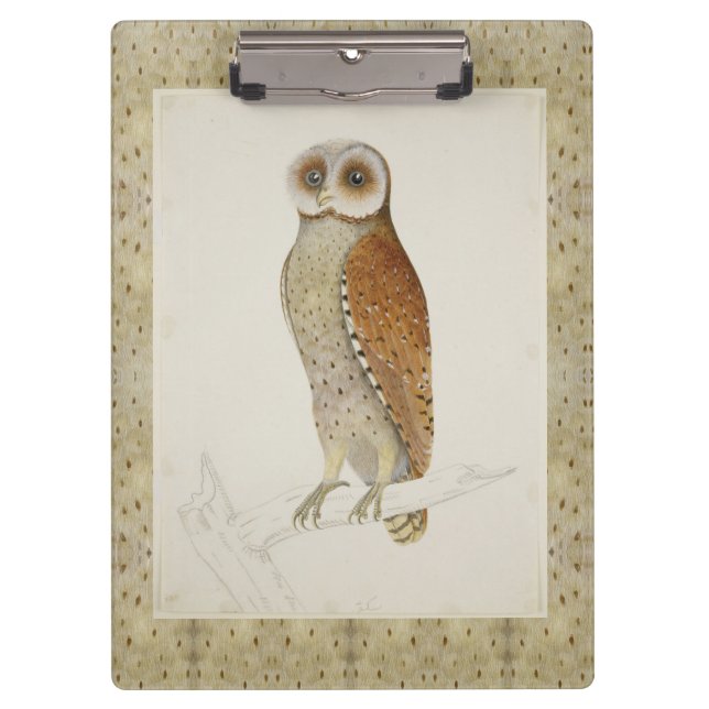 Stallbucht Uhu rustikale Vintage Naturvogel Illust Klemmbrett (Vorderseite)