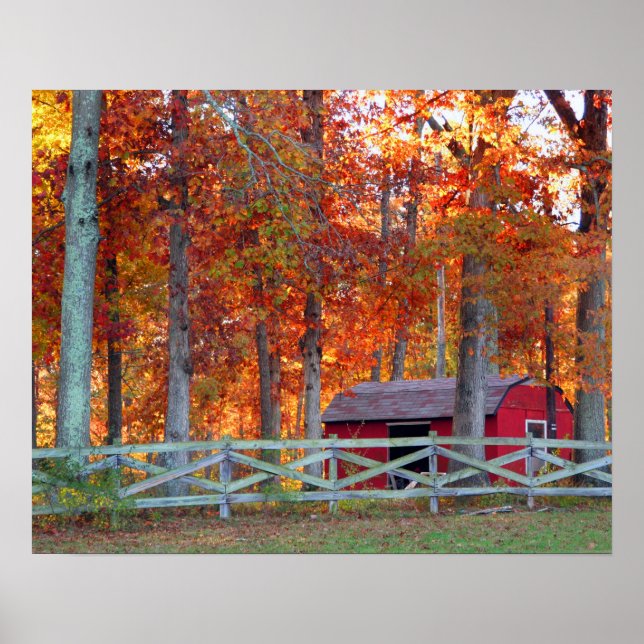 Stalldruck Poster (Vorne)