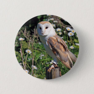 Stallhuhn Button