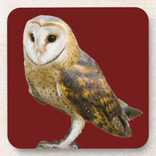 Stallhuhn Getränkeuntersetzer