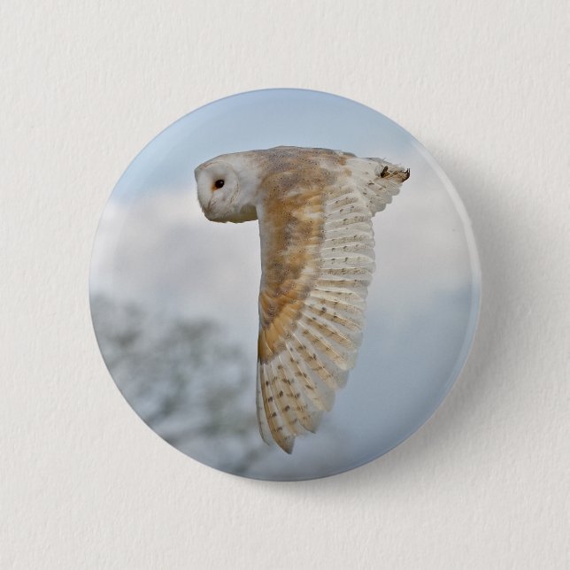 Stallhuhn im Abzeichen Button (Vorderseite)