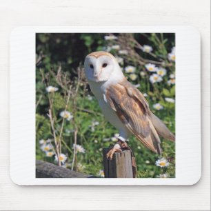 Stallhuhn Mousepad