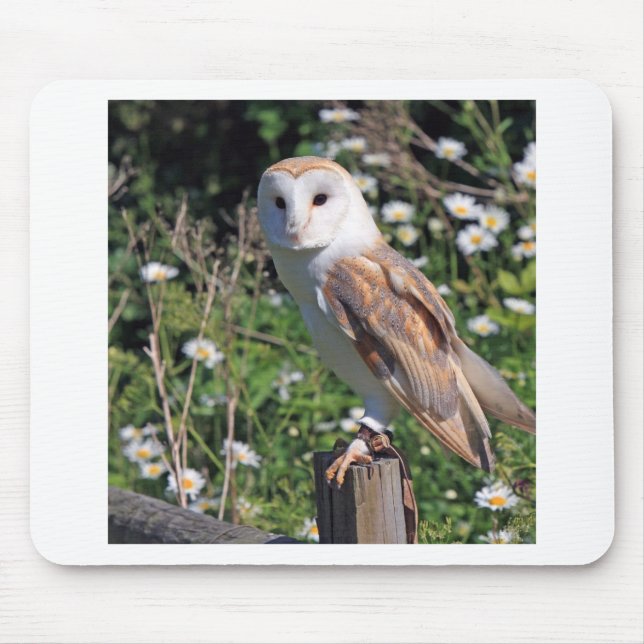 Stallhuhn Mousepad (Vorne)