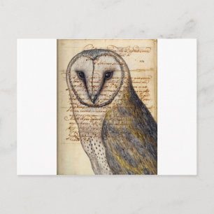 Stallhuhn Postkarte