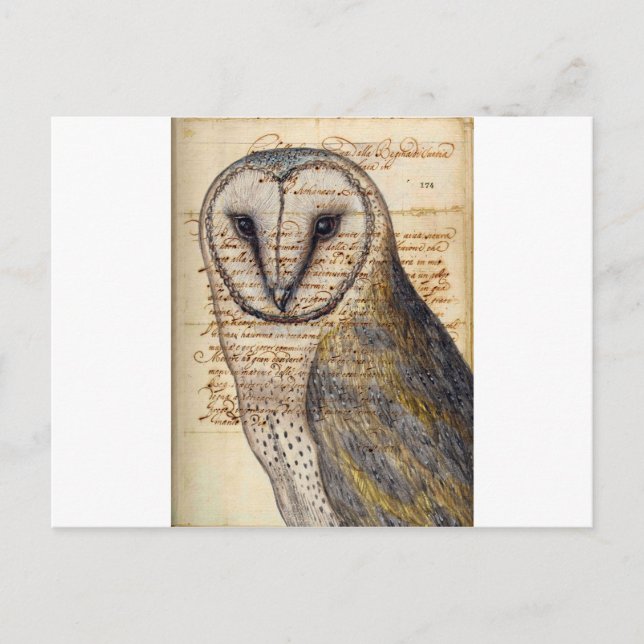 Stallhuhn Postkarte (Vorderseite)