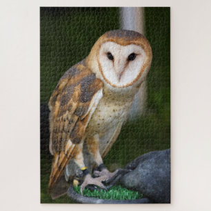 Stallhuhn Puzzle