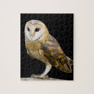 Stallhuhn Puzzle