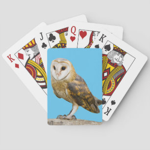 Stallhuhn Spielkarten