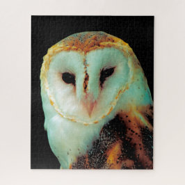 Stallhühner - Raubvögel. Puzzle