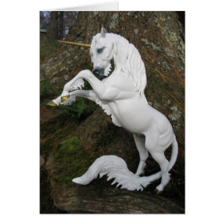 Stallion