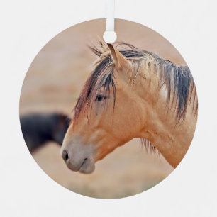 Stallion beobachtet Ornament Aus Metall