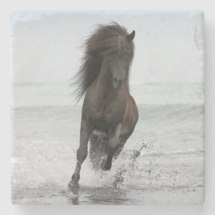 Stallion, der auf Strand Nordatlantik läuft Steinuntersetzer
