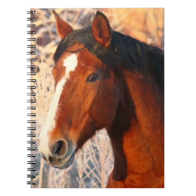 Stallion Horse Notizblock (Vorderseite)