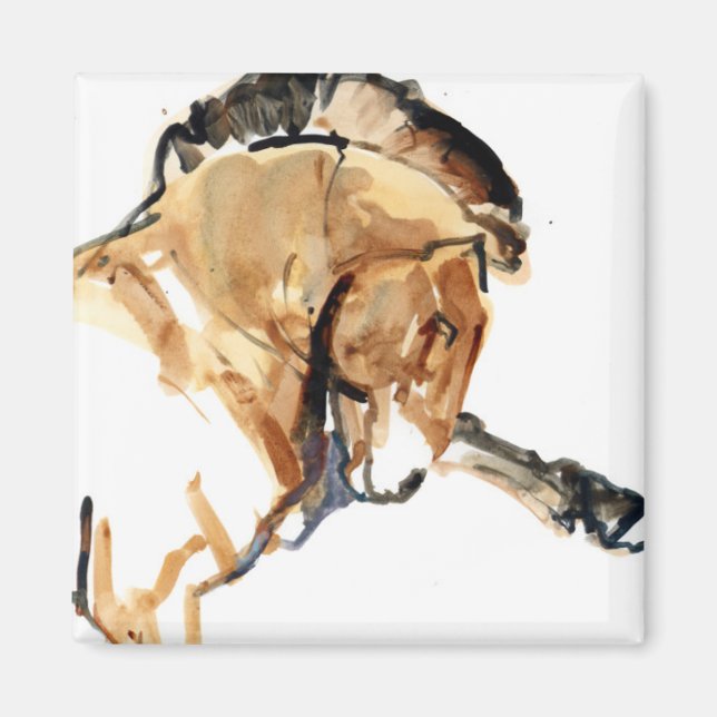 Stallion Magnet (Vorne)