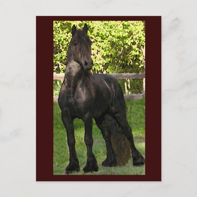 Stallion Painting Postkarten (Vorderseite)
