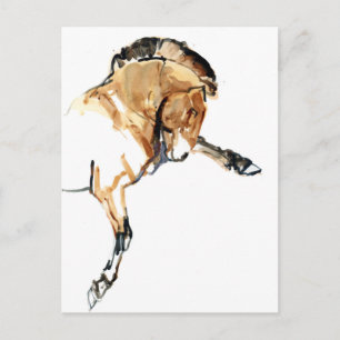 Stallion Postkarte