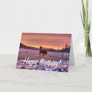 Stallion Running Home at Sunset on Ranch Karte