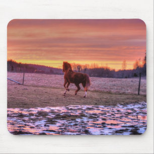 Stallion Running Zuhause bei Sunset auf Ranch Mousepad