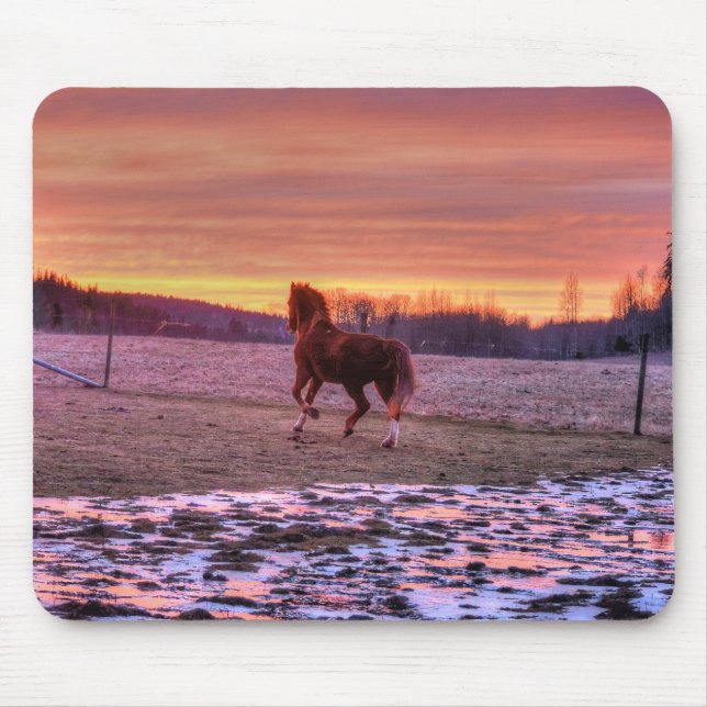 Stallion Running Zuhause bei Sunset auf Ranch Mousepad (Vorne)