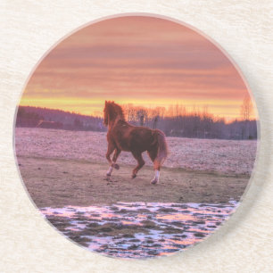 Stallion Running Zuhause bei Sunset auf Ranch Sandstein Untersetzer