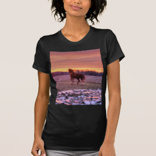 Stallion Running Zuhause bei Sunset auf Ranch T-Shirt
