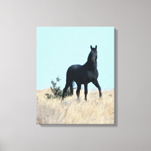 Stallion Voodoo Canvas Leinwanddruck