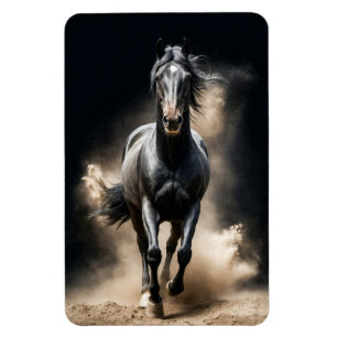 Stallion Wild Tier Elegante Highlights Magnet