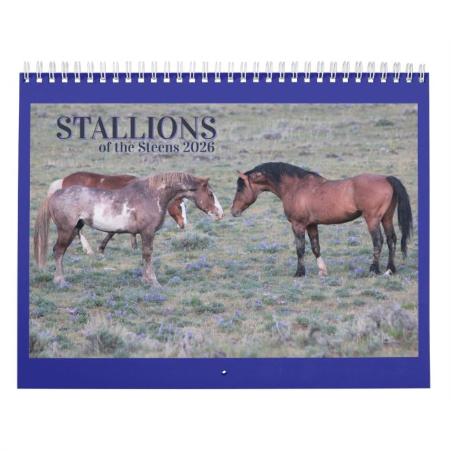 "Stallions" MustangWild 2026 Kalender (Titelbild)