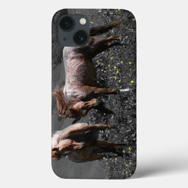 Stallions-Spar Case-Mate iPhone Hülle (Rückseite)