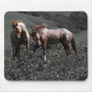 Stallions-Spar Mousepad