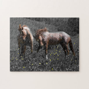 Stallions-Spar Puzzle