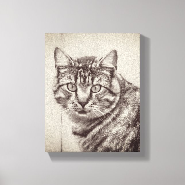 Stallkatzen Landtiere 8 x 10 Leinwanddruck (Vorderseite)