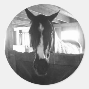 Stallpferd Runder Aufkleber