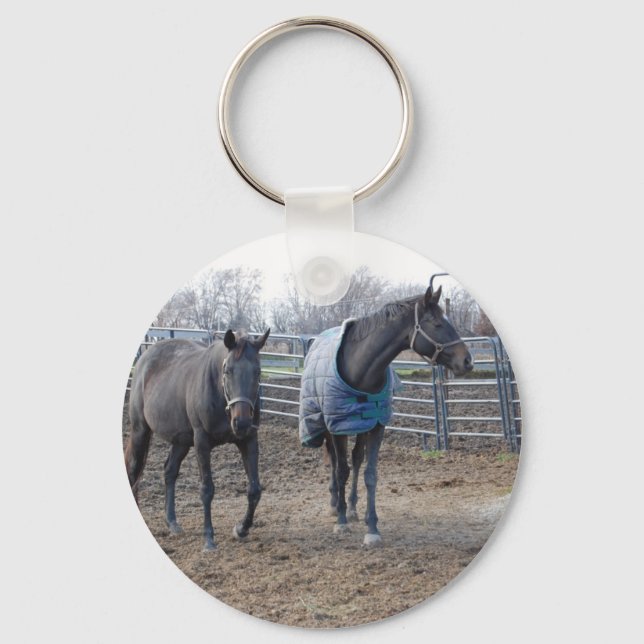 Stallpferde Schlüsselanhänger (Vorderseite)