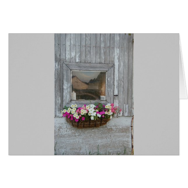 Stallreflexion (Vorderseite (Horizontal))