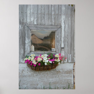 Stallreflexion Poster